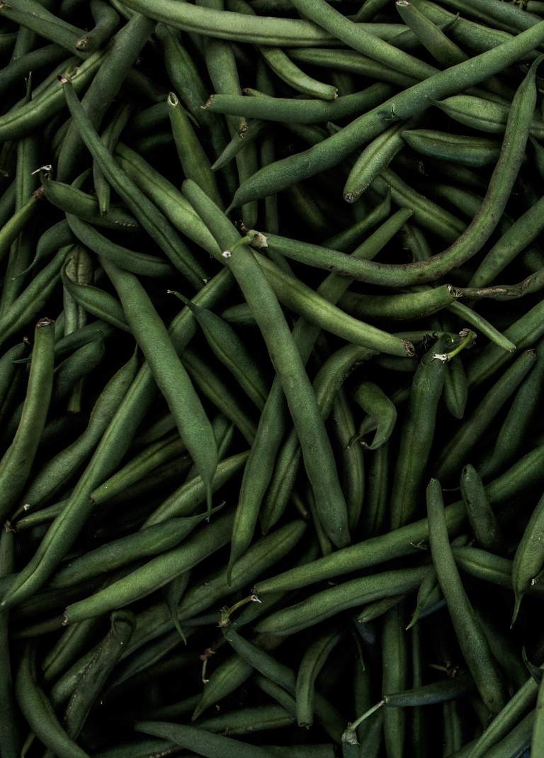 gleaning beans